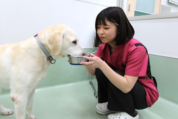 愛玩動物看護師:岡田 菫