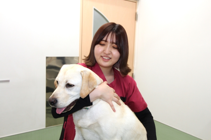 愛玩動物看護師:鈴木 なぎ