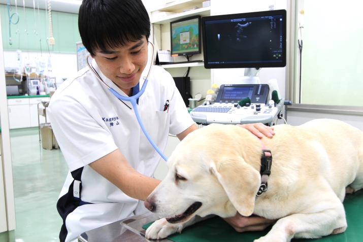 獣医師：陰山　琢矢